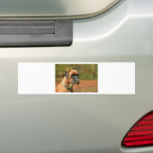 Jolie im Holz Autoaufkleber (Auf Auto)