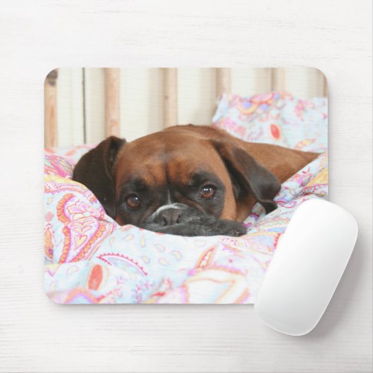 Jolie snuggled im Duvet Mousepad (Mit Mouse)