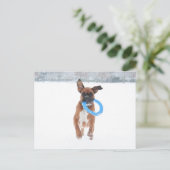 Jolie spielt Frizbee im Schnee Postkarte (Stehend Vorderseite)