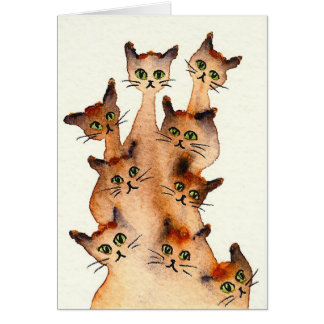 Joliet wunderliche Katzen