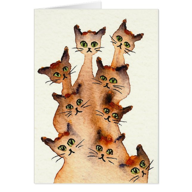 Joliet wunderliche Katzen (Vorne)