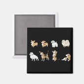 Jolly Corgis Magnet (Vorderseite/Rückseite)