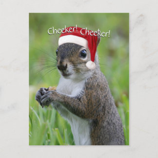 Jolly Florida Santa Squirrel™ Weihnachtsmannmütze Feiertagspostkarte