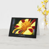 Jolly Jester Marigold - In Beileid Karte (Gelbe Blume)