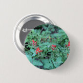JOLLY JULY BUTTON (Vorne & Hinten)