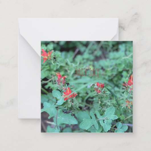 JOLLY JULY MITTEILUNGSKARTE (Vorderseite)