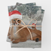 Jolly Mountain Lion mit Cub Geschenkpapier Set (Beispiel)