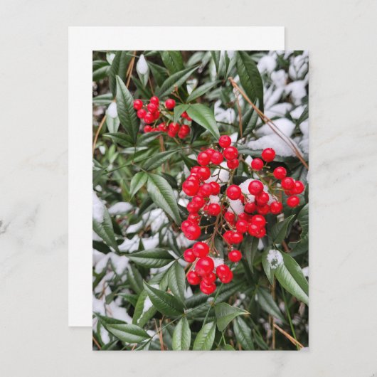 Jolly Winter Berry Weihnachtskarte (Vorne/Hinten)