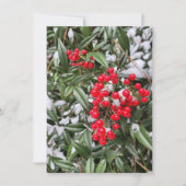 Jolly Winter Berry Weihnachtskarte (Vorderseite)