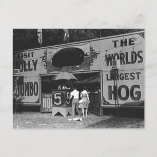 Jolly World's größtes Schwein Vintage-Karneval-Fot Feiertagspostkarte