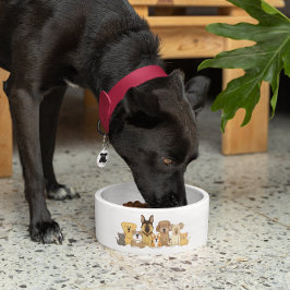 JollyKins Hunde und Katzen Napf