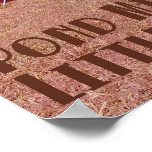 Jon Holtz Pond Mile 3 Poster (Ecke)