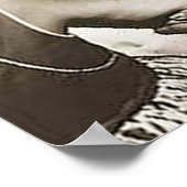 Jonas E. Salk, M.D. Poster (Ecke)