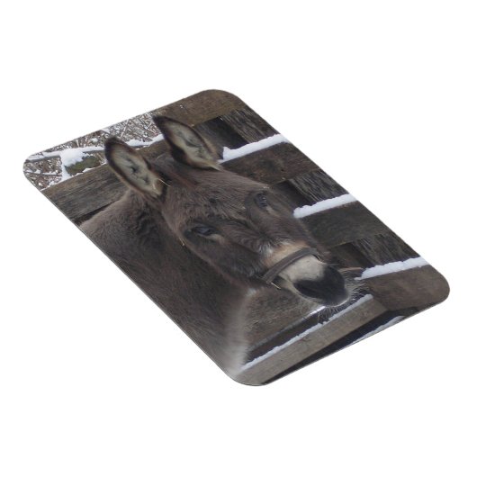 Jonathan Magnet (Rechte Seite)