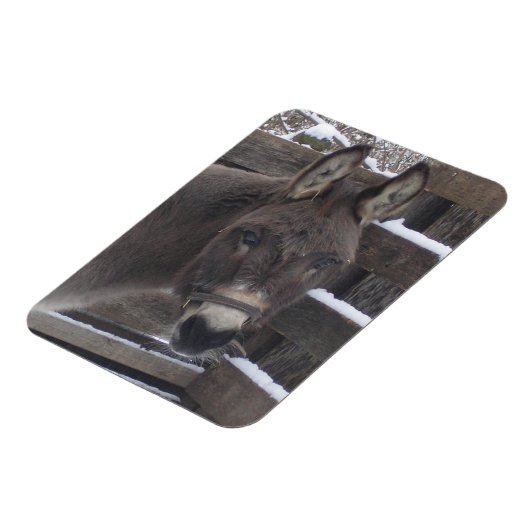 Jonathan Magnet (Linke Seite)