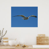 Jonathan Poster (Küche)