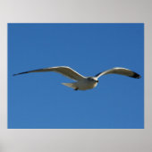 Jonathan Poster (Vorne)