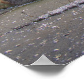 Jones Beach Gazebo Poster (Ecke)