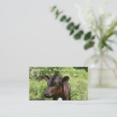 Jonny sofort Morgen Visitenkarte (Stehend Vorderseite)