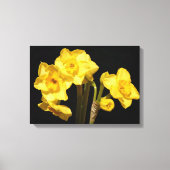 Jonquil Blume Canvas Print Leinwanddruck (Vorderseite)