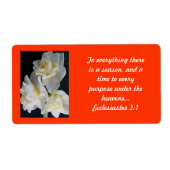 Jonquil Blume - Ecclesiastes 3:1 (Vorne)