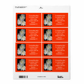 Jonquil Blume - Ecclesiastes 3:1 (Vorne)