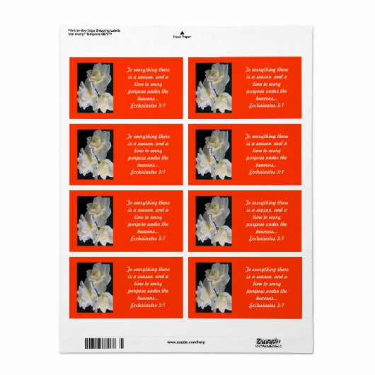 Jonquil Blume - Ecclesiastes 3:1 (Vorne)