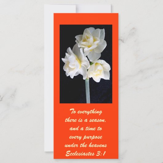 Jonquil Blume - Ecclesiastes 3:1 (Vorderseite)