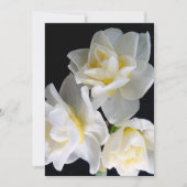 Jonquil Blume - Ecclesiastes 3:1 (Vorderseite)