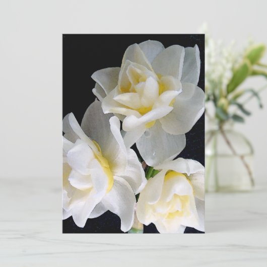 Jonquil Blume - Ecclesiastes 3:1 (Stehend Vorderseite)