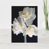 Jonquil Blume - Ecclesiastes 3:1 Karte (Vorderseite)