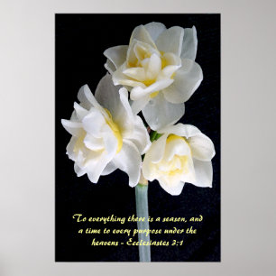 Jonquil Blume - Ecclesiastes 3:1 Poster
