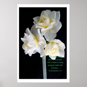 Jonquil Blume - Ecclesiastes 3:1 Poster