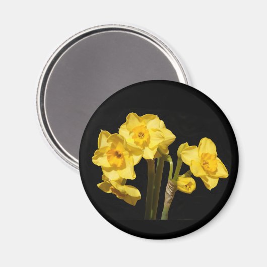Jonquil Blume Magnet (Vorderseite/Rückseite)