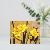Jonquil Blume Postcard Postkarte (Stehend Vorderseite)