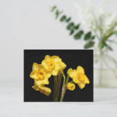 Jonquil Blume Postcard Postkarte (Stehend Vorderseite)