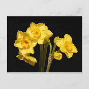 Jonquil Blume Postcard Postkarte