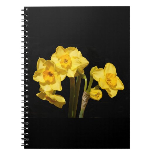 Jonquil Blume Spiral Notebook Notizblock (Vorderseite)
