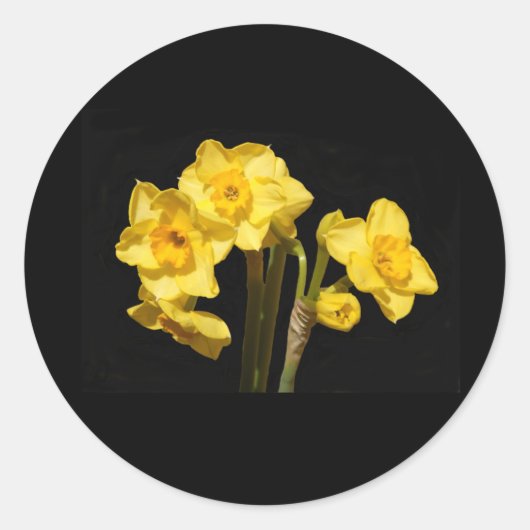 Jonquil Blume Stickers (Vorderseite)