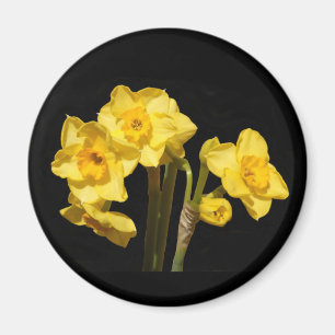 Jonquil Blumen-Magnet Magnet