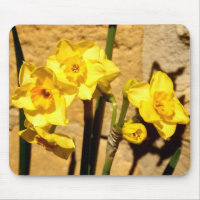 Jonquil Blumen-Mäusematte