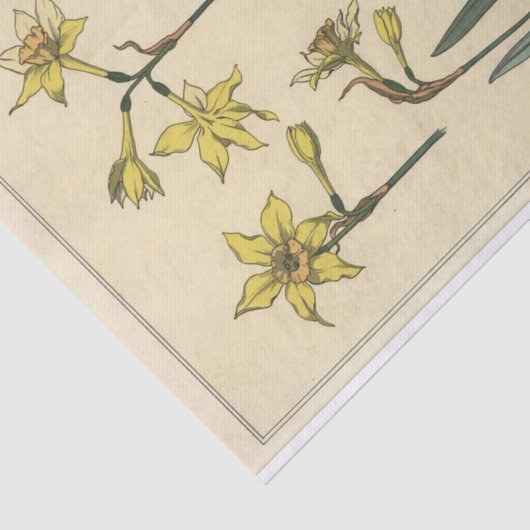 Jonquil, Eugene Grasset Botany Serie Seidenpapier (Ausschnitt)