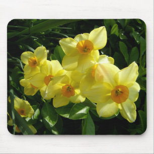 Jonquils/Narzissen/Narzisse Mousepad