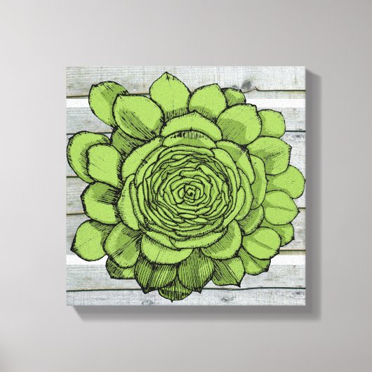 Jonus the Jovibarba heuffelii Leinwanddruck (Vorderseite)