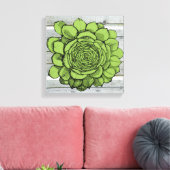 Jonus the Jovibarba heuffelii Leinwanddruck (Insitu (Wohnzimmer))