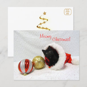 Joon's Christmas - Cat / Kitten Postcard Postkarte