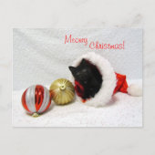 Joon's Christmas - Cat / Kitten Postcard Postkarte (Vorderseite)