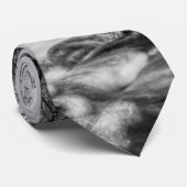 Joplin Grand Falls Übersicht Grayscale Neck Tie Krawatte (Gerollt)