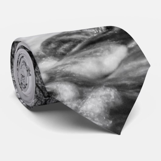 Joplin Grand Falls Übersicht Grayscale Neck Tie Krawatte (Gerollt)