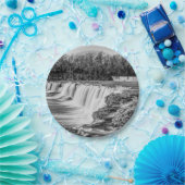 Joplin Grand Falls Übersicht Grayscale Pappteller (Party)